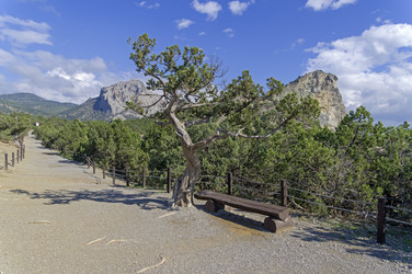 Similar image 21965906