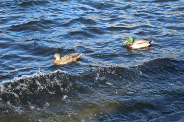 Similar image 21970762