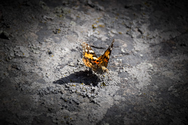 Similar image 21966167