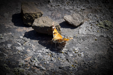 Similar image 21966168