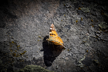 Similar image 21966169