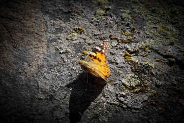 Similar image 21966170