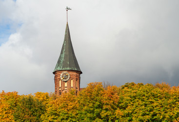 Similar image 21969304