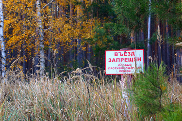 Similar image 21967202