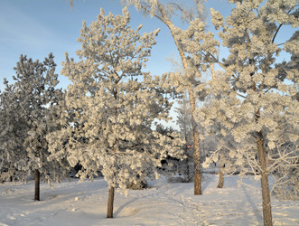 Similar image 21966174