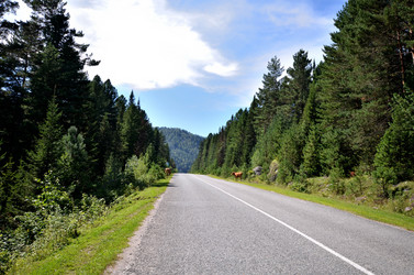 Similar image 21966183