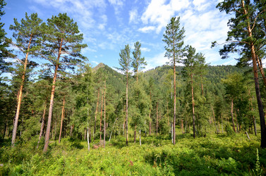 Similar image 21966190