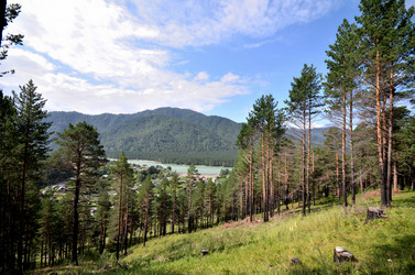 Similar image 21966192