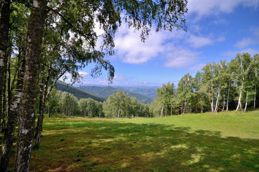 Similar image 21966200