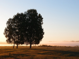 Similar image 21966201