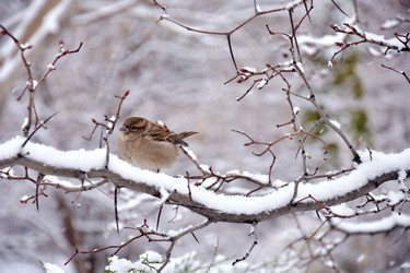 Similar image 21966202