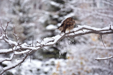 Similar image 21966204