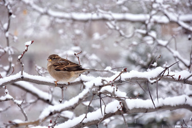 Similar image 21966205