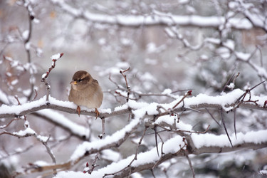 Similar image 21966206