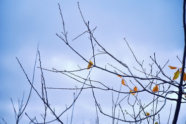 Similar image 21966209