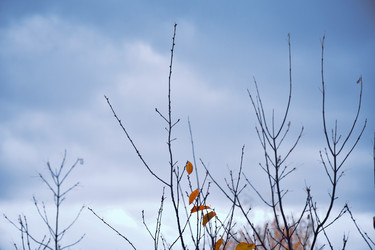 Similar image 21966210