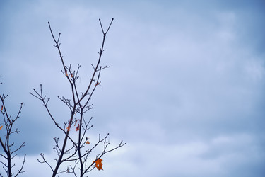 Similar image 21966211