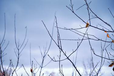 Similar image 21966212