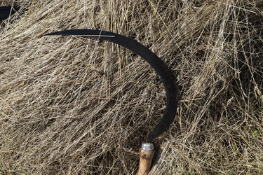 Similar image 21966223