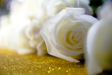 Similar image 21969743