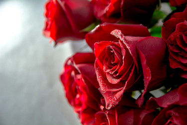 Similar image 21969746