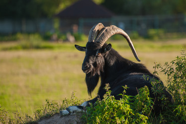 Similar image 21969756