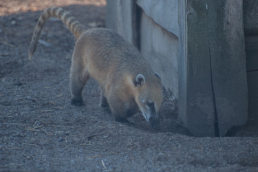 Similar image 21969758