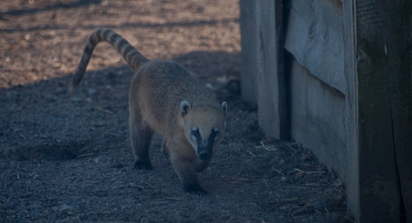 Similar image 21969759