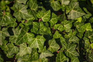 Similar image 21969760