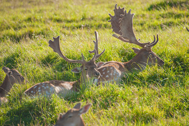 Similar image 21969764