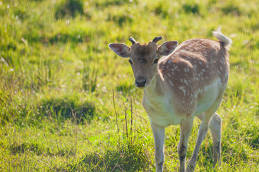 Similar image 21969765