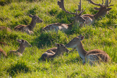 Similar image 21969766