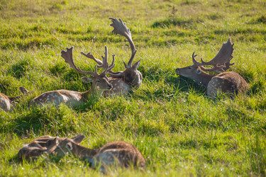 Similar image 21969767