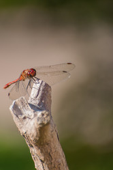 Similar image 21969773