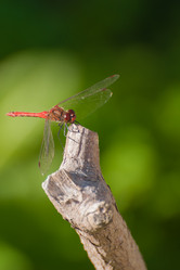 Similar image 21969774