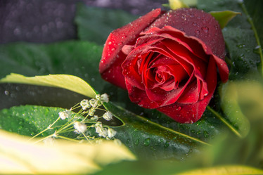 Similar image 21969779