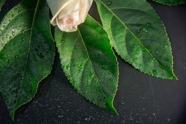 Similar image 21969782