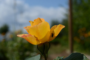 Similar image 21966229