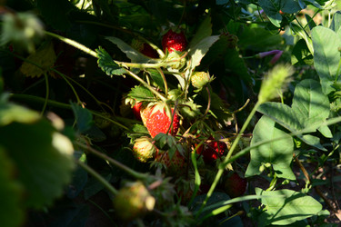 Similar image 21966233