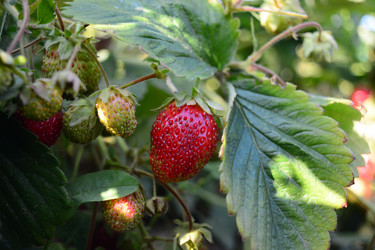 Similar image 21966234