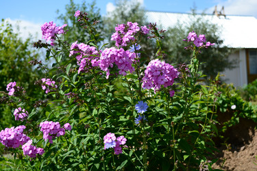 Similar image 21966237