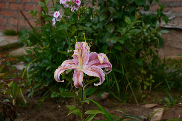 Similar image 21966242