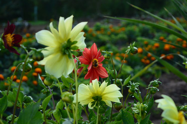 Similar image 21966245