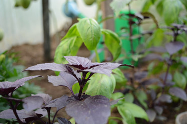 Similar image 21966247