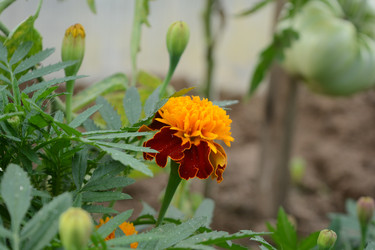 Similar image 21966249