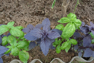 Similar image 21966250