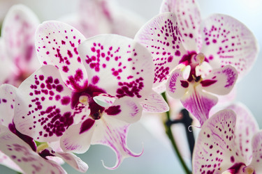 Similar image 21973705