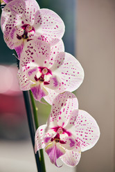 Similar image 21973706