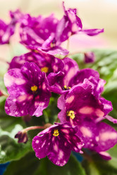 Similar image 21973708