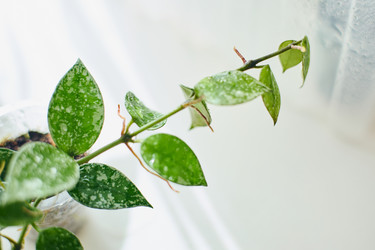 Similar image 21973709